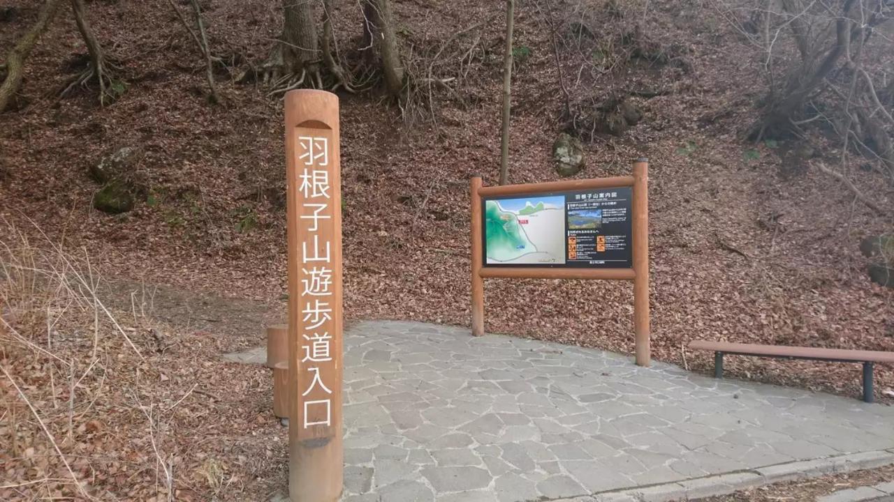 Fuji Cottage Fujikawaguchiko Eksteriør bilde